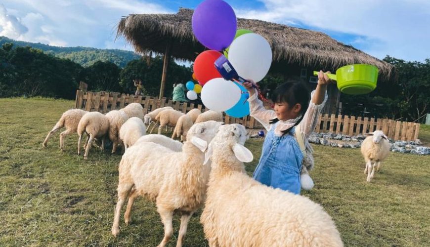 สัมผัสธรรมชาติและสัตว์น่ารัก Botanic Garden & Sheep Farm, สวรรค์แห่งการพักผ่อนในเชียงใหม่