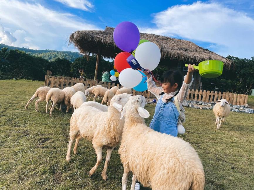 สัมผัสธรรมชาติและสัตว์น่ารัก Botanic Garden & Sheep Farm, สวรรค์แห่งการพักผ่อนในเชียงใหม่