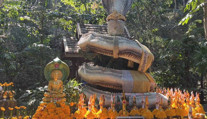 เที่ยวเชียงใหม่แบบสายมู สัมผัสความศักดิ์สิทธิ์ ม่อนกุเวร ม่อนพญานาค เสริมสิริมงคลด้วยบารมีของท้าวเวสสุวรรณและพญานาคทุกตระกูล