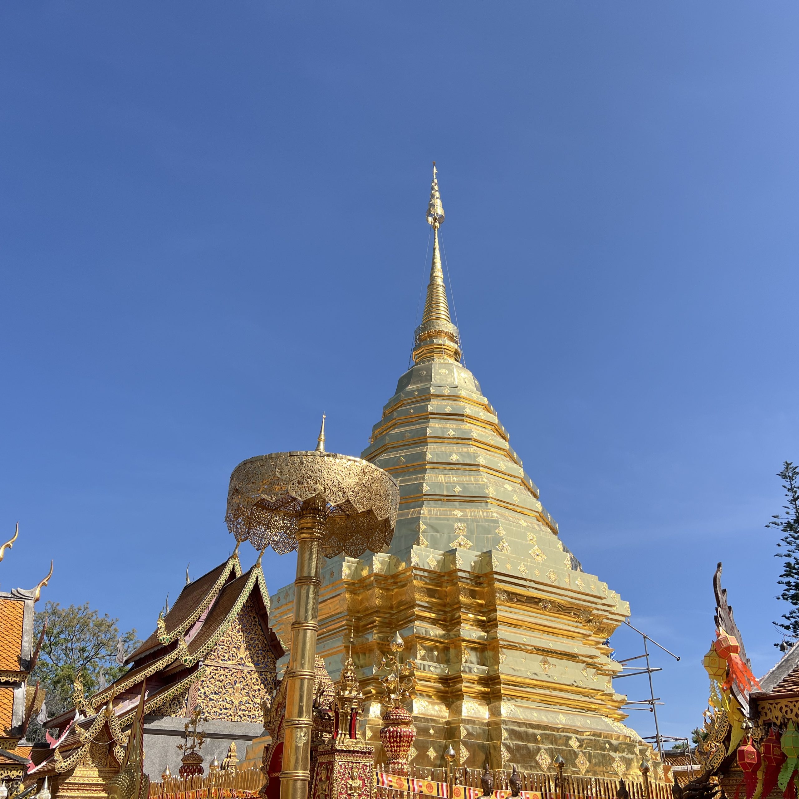 เที่ยวเชียงใหม่ สัมผัสเสน่ห์วัดวาอารามเก่าแก่ และจิบกาแฟชิลล์ๆ ที่ No.39 คาเฟ่