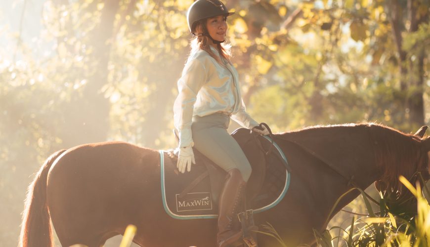 Pong Horse Park สวรรค์ของคนรักม้าและธรรมชาติในเชียงใหม่