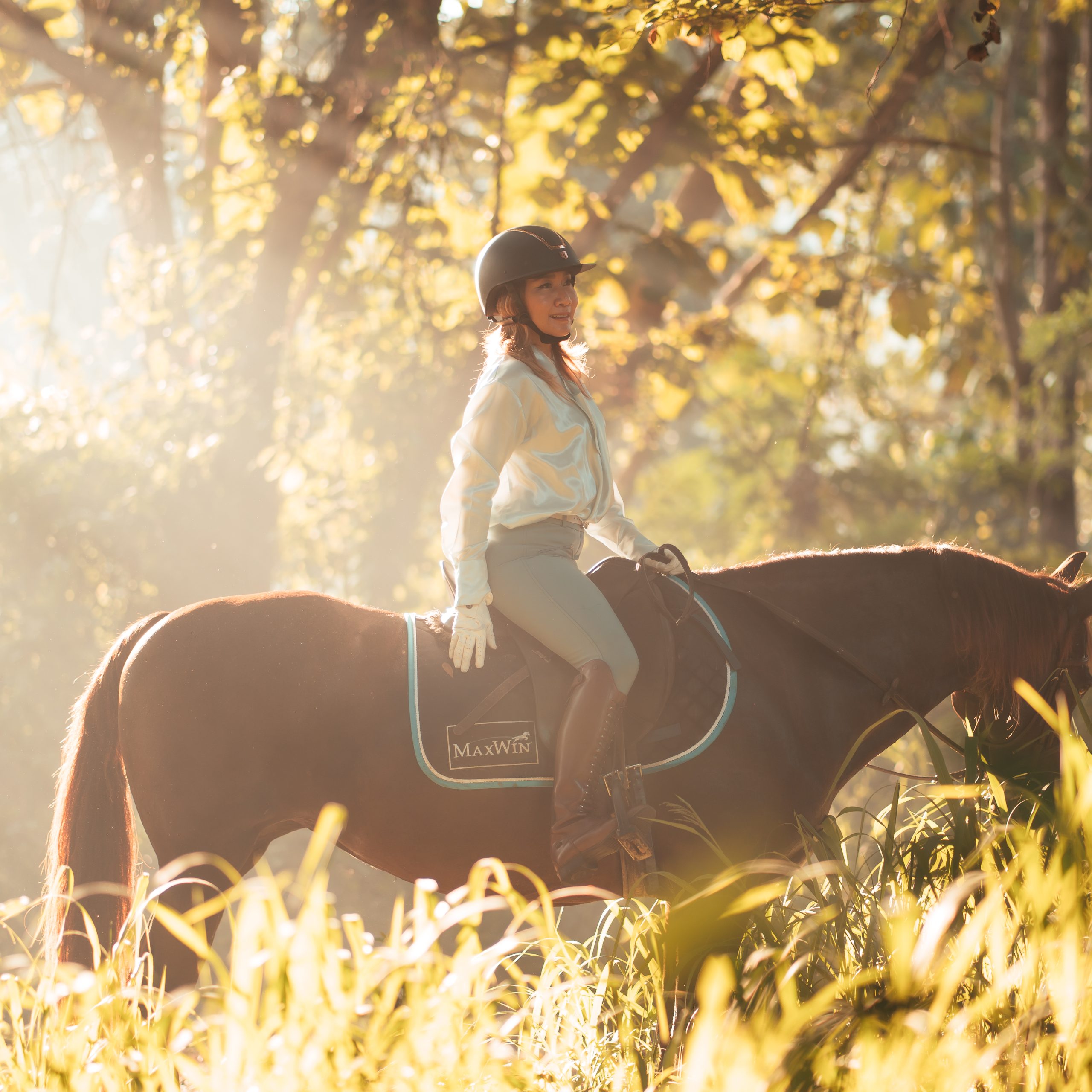 Pong Horse Park สวรรค์ของคนรักม้าและธรรมชาติในเชียงใหม่