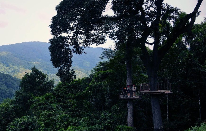 SKYHAWK Zipline