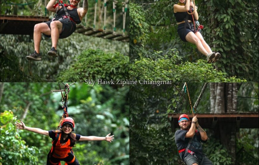 SKYHAWK Zipline