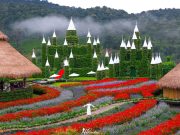 Chiang Mai One Day Tour : Flower Castle, Alpaca Farm, and My Garden (Orange Farm) in Mon Jam | Thailand