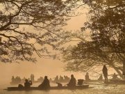 Private Tour: Discover the Iconic Giant Rain Tree by the Lake | Chiang Mai