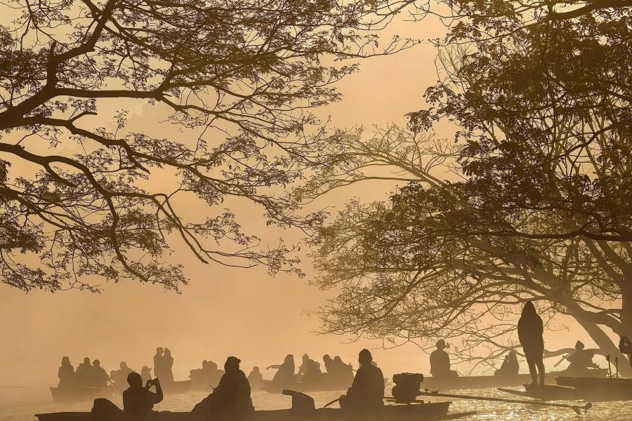 Private Tour: Discover the Iconic Giant Rain Tree by the Lake | Chiang Mai