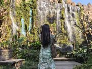 Dantewada Chiang Mai: The Paradise Falls & Secret Garden | Thailand